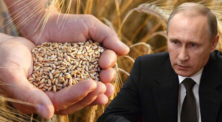 Putin buğdayı silah olarak kullanabilir - ekonomi