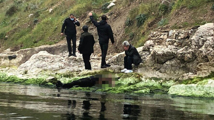 Ailesine mektup bıraktı, peşine düşen babası cansız bedenini buldu - yasam