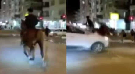 Atla trafiğe çıkan genç TikTok uğruna az kalsın canından oluyordu - dunya