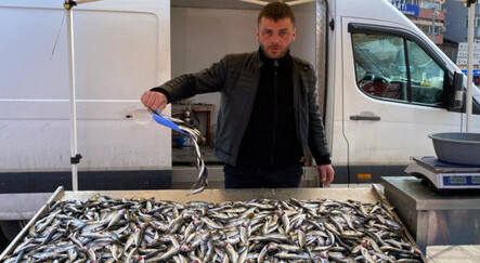 Av sezonunun bitmesine 2 gün kala balıkçılar teselliyi istavritte buldu - ekonomi