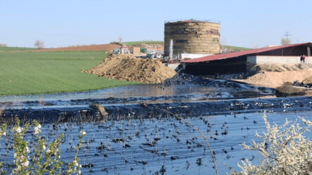 Edirne'de yakıt kazanı patladı: Tonlarca yakıt çevreye yayıldı - yasam