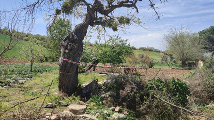 Elektrik tamiratına gitti, tarlada cesedi bulundu - yasam
