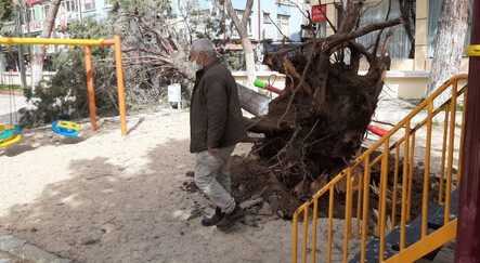 Fırtına Edirne'yi yıktı geçirdi! 1 vatandaş yaralı - yasam