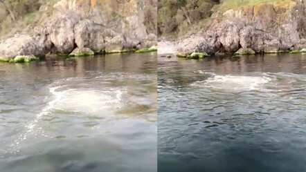 İstanbul Heybeliada'da denize lağım suyu karıştı - yasam