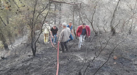 Manisa'da 30 dekar karaçam ormanı yandı - yasam