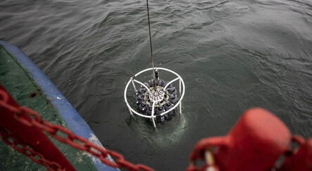 Marmara Denizi alarm veriyor: Oksijen seviyesi kritik seviyede - gundem