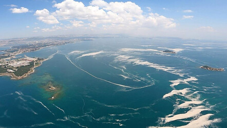 Marmara Denizi'ndeki müsilaj incelemesi sona erdi! Uzmanlar numune sonuçlarını açıkladı - yasam