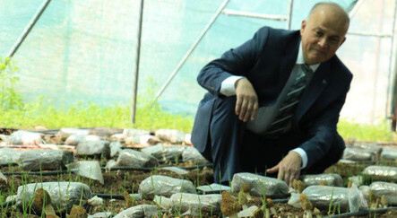 Türkiye’de üretiliyor dünyaya ihraç ediliyor… Tazesinin kilosu 400, kurusu 3 bin TL! - turkiye