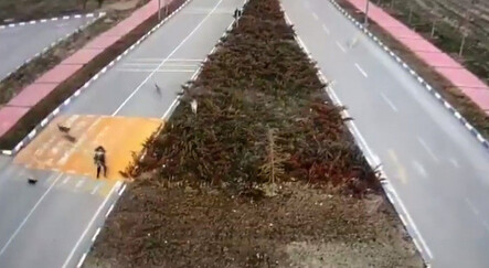 Van'da dehşet anları: 7 köpek kız öğrenciye saldırdı - yasam