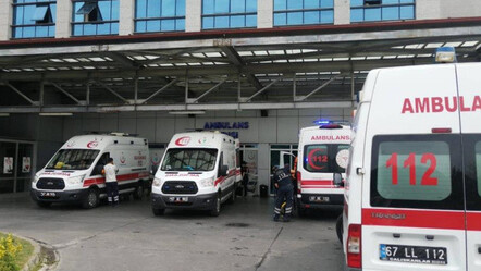 2 küçük çocuğun 'zehirli' oyunu hastanede bitti - yasam