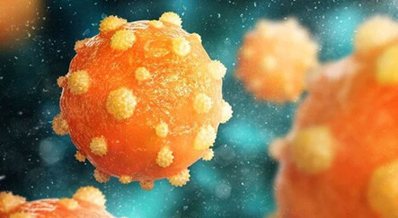 Bir ülkede daha gizemli hepatit vakası görüldü - saglik