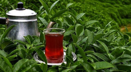Çayı olmayan alsın! ÇAYKUR'dan kuru çaya zam - gundem