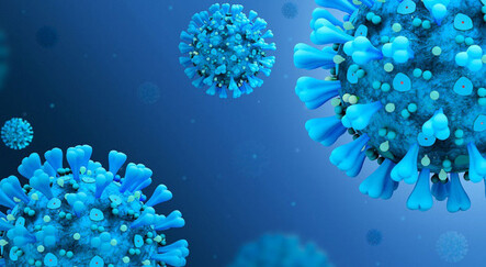 Gizemli hepatit virüsü evcil hayvanlardan mı bulaştı? - saglik
