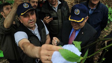 Zonguldak'ta savaş başlıyor! Katil arılara karşı terminatör böcekler - ekonomi