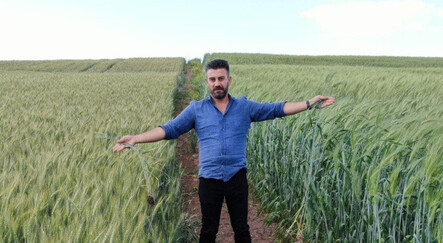 7 bin yıllık tohum bulduklarını iddia etmişlerdi: Gerçek bambaşka çıktı - ekonomi