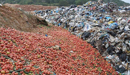 Antalya'da tonlarca sebze araziye döküldü - yasam
