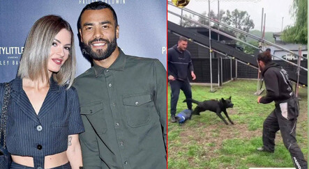 Ashley Cole 400 bin liralık güvenlik köpeği satın aldı - spor