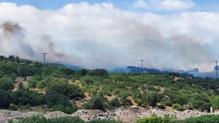 Çanakkale Ezine'de orman yangını çıktı, havadan ve karadan müdahale ediliyor - gundem