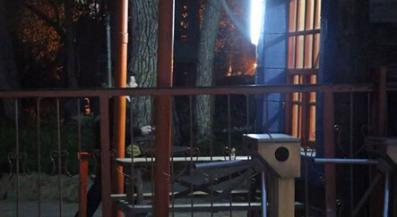 Hayvanat bahçesinde korkutan görüntü! Herkes bu fotoğrafı konuşuyor - dunya