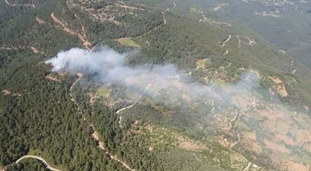 Marmaris'in ardından bir tane daha! İzmir'de ormanlık alanda çıkan yangın kontrol altında - gundem