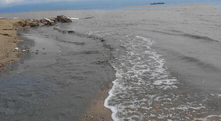 İzmit Körfezi simsiyah oldu! Görenler gözlerine inanamadı - yasam