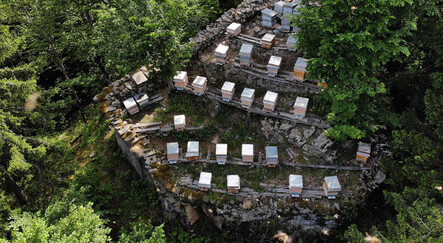 Kayaların başındaki lezzet: Osmanlı'dan bugüne bal yolculuğu - kultur-sanat