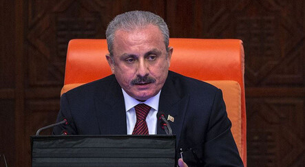 Meclis Başkanı Şentop'tan polise yumruk atan DBP'li Aydemir'e tepki: Dokunulmazlığının kaldırılması gerekir - gundem