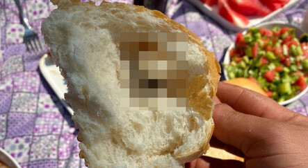 Piknik kabusa döndü! Ekmeğin içinden fare çıktı, soluğu mahkemede aldı - gundem