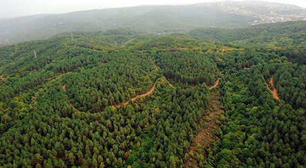 AFAD ve İçişleri Bakanlığı'ndan orman yangını uyarısı:  81 ile gönderildi - gundem