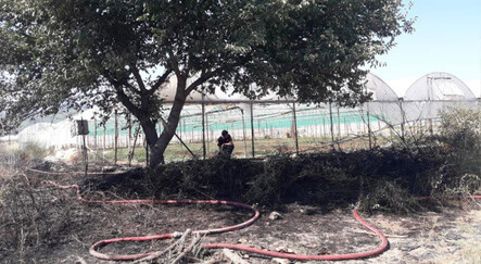 Antalya’da çıkan yangın seralara sıçradı - gundem