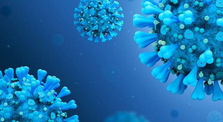 Aşılardan kaçan varyant BA.2.75 Japonya’da: İlk vaka bildirildi - dunya