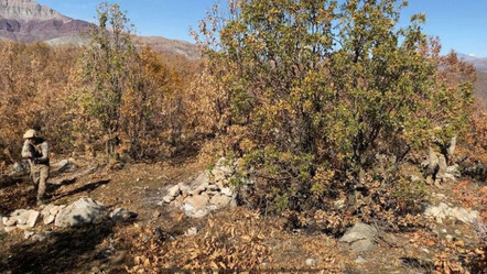 Bitlis'te Eren Abluka-24 Operasyonu başlatıldı - gundem