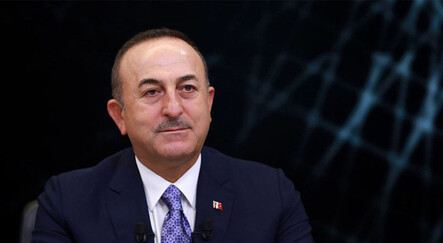 Dışişleri Bakanı Çavuşoğlu Finlandiyalı mevkidaşı ile görüştü - dunya