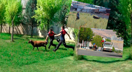 Firari kurbanlıklar ortalığı birbirine kattı: Kurban Bayramı'nda manzara yine aynı - gundem