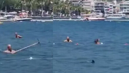 Marmaris Belediyesi'nden köpek balığı açıklaması geldi! - dunya