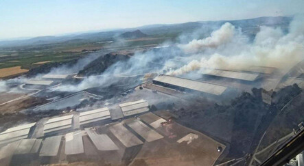 Son dakika: Bergama'da otluk alanda yangın! - gundem