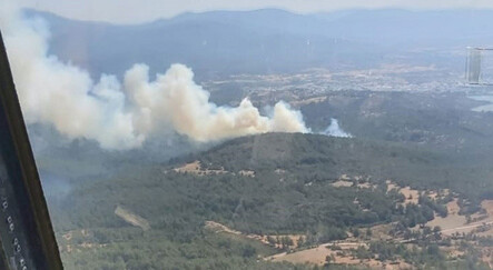 Son dakika: Bodrum'da ormanlık alanda yangın - yasam