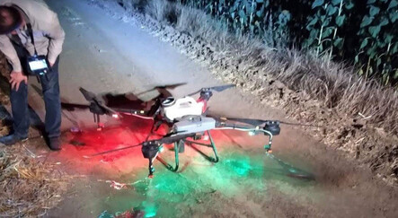 Tekirdağ'da istilacı tırtıllara drone ile operasyon - dunya