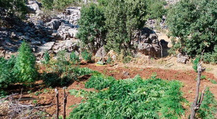 Teröre bir darbe daha: Diyarbakır'da ele geçirildi tam 2 milyon 293 bin... - gundem