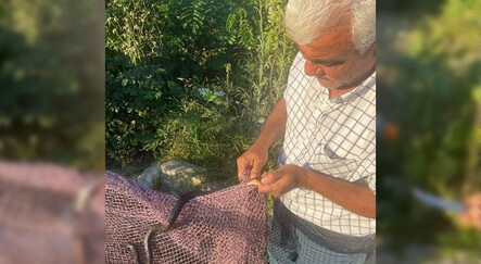 Yangından sonra ortaya çıktılar: Yüzlerce yılan ilçeyi bastı - dunya