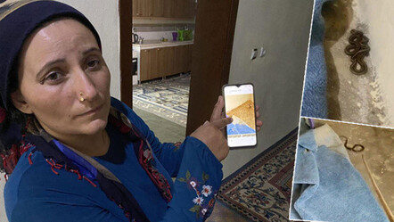 Yaşamak kabusa döndü! Evin her tarafından yılan fışkırıyor - yasam