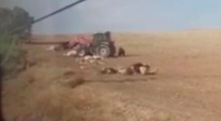 Başkent’te tren kazası: 20 inek ve 2 at telef oldu - gundem