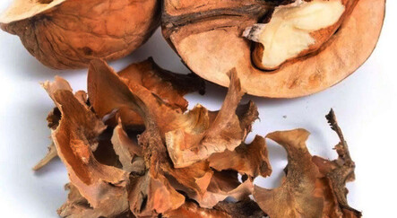 İçinde şifa saklı: Faydasını duyunca çöpe attığınıza pişman olacaksınız - saglik