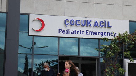 Dehşet! Sokak köpeğini vurmak isterken 3 çocuğu vurdu - yasam