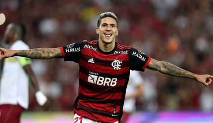 Fenerbahçe'de Sambacı sevdası - spor