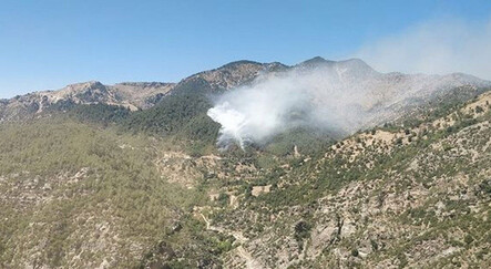 Kahramanmaraş'ta orman yangını - gundem