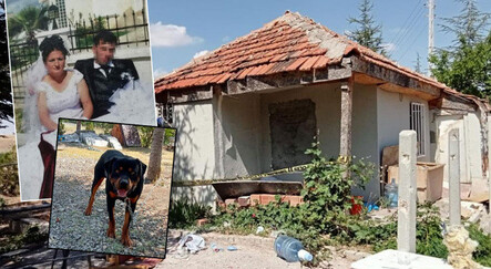 Kan donduran cinayet! Eşini çekiçle öldürüp gömdü... Cesedi 'Baron' isimli köpek buldu - yasam