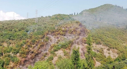Kocaeli'de ormanlık alanda yangın! Validen ilk açıklama geldi - yasam