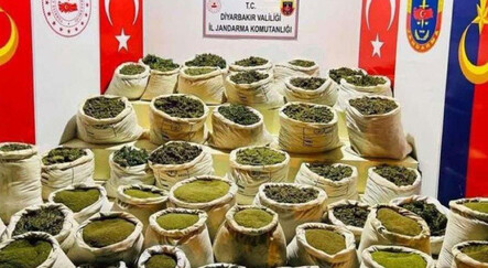 Terörün finans kaynağına ağır darbe! 28 milyon kök uyuşturucu madde ele geçirildi - gundem