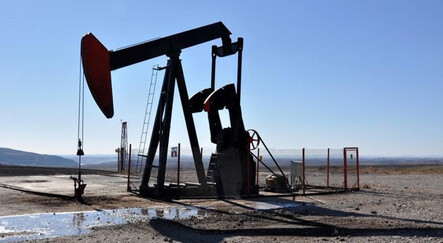 TPAO'ya 5 sahada petrol arama ruhsatı verildi - ekonomi